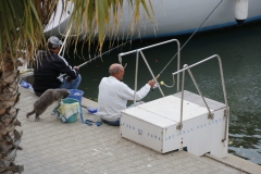 MICHELE_OGIER_Bateaux.M_1