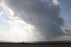 MICHELE_OGIER_Narbonne_plage_M_5