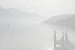 XXX_DSC05963CE