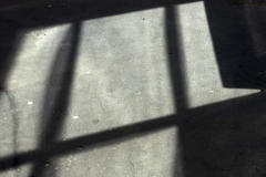 XXX_IMGP5352