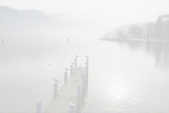 XXX_SONY_DSC05960CE