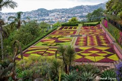 Bernard_Legros-FPF_UR11_Botanique-4