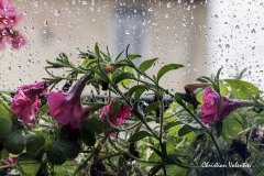 Christian_Valentin_MG_4089_orage