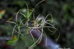 DSC8652-2web-OIL