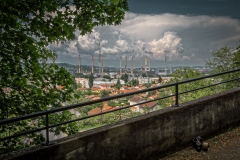 MG_8502-Modifier
