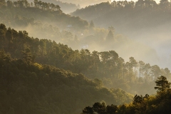 Daniel-Morin_paysage