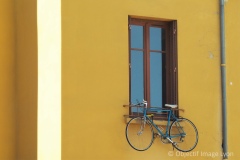 Evelyne-velo