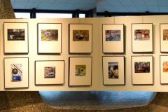 montage-1