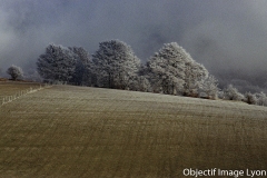 Michel-Colle-F1000022_modifie-1