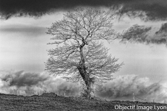 Michel-Colle-IMG_6975_DxO_modifie-1