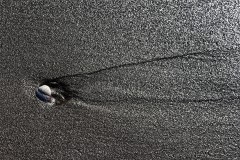 IMG_7211_DxO