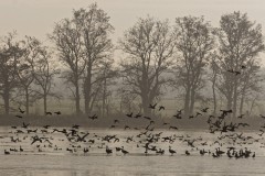 Michel.colle-IMG_6849_DxO