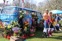 alain_forest_IMG_0204