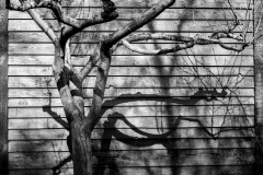 Confinement-Jardins-04_DSC7899b