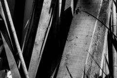 Confinement-Jardins-06_DSC7907