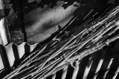 Confinement-Jardins-10_DSC7926b