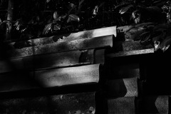 Confinement-Jardins-14_DSC8178