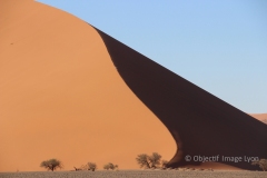 1_Jonathan_Frappier_Dune