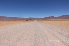 1_Jonathan_Frappier_Route