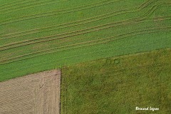 DCIM\100MEDIA\DJI_0041.JPG