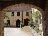alain_forest_IMG_2953_.jpg