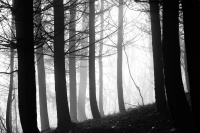 _ZSC0065_jlucleblanc.jpg