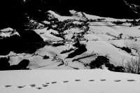 noir et blanc 3 Jacqueline V.jpg