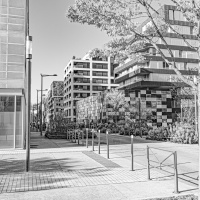 Christophe Archi et végét 7 avr 2025-2.JPG