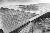 Christophe Archi et végét 7 avr 2025-26.JPG