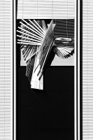 05-AB-envol.jpg