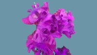 20190521_185744.jpg