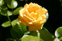 Richard GIBERT-IMG_3216.JPG