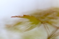 2_jdsslalune_Z6B9912_jlucleblanc.jpg