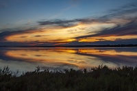 CP_MG_3490.jpg