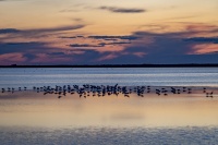 CP_MG_6561.jpg