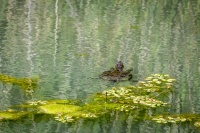 CP_MG_6763.jpg