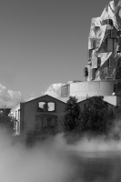 camargue 7 jacqueline.jpg