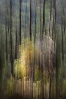 Helene.M-01.jpg