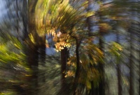 Helene.M-02.jpg