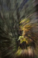 Helene.M-03.jpg