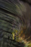 Helene.M-04.jpg