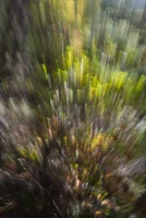 Helene.M-06.jpg