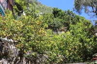alain_forest_IMG_4543.jpg