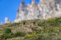 _MG_8099.jpg