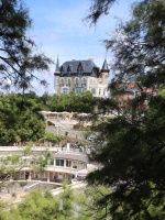 alain_forest_IMG_4923.jpg