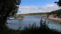 alain_forest_IMG_4984.jpg