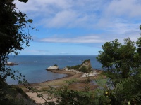 alain-forest_IMG_4976.jpg