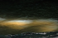 _DSC9070 copie.jpg