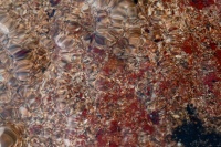 Z6B8568_jlucleblanc.jpg