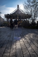 CP_DSF8574.jpg